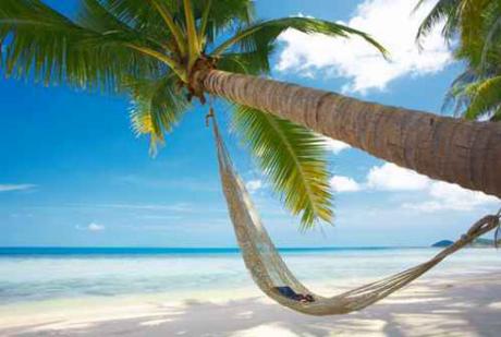 Wij geven u alle infomatie over vakantiebestemmingen en vergelijken voor u online de prijzen van zonvakanties, skivakanties, vliegtickets, all-inclusive reizen, wereldreizen, campings voor gezinnen met baby's en peuters, rondreizen, vakantiewoningen en aanbiedingen voor een ontspannen weekendjeweg of leuke citytrip.